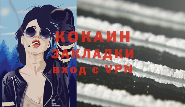 дживик Белокуриха